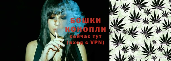 бутират Белокуриха