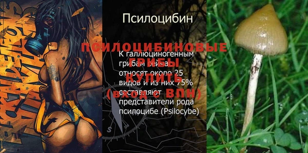 дмт Беломорск
