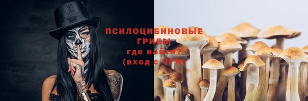 дмт Беломорск