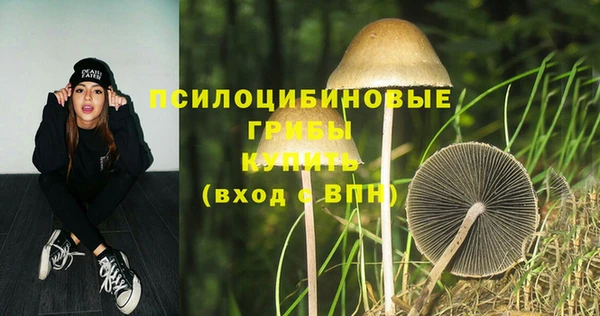 бутират Белокуриха