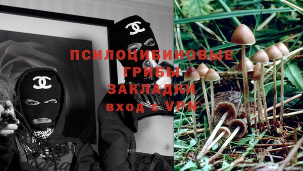 бутират Белокуриха
