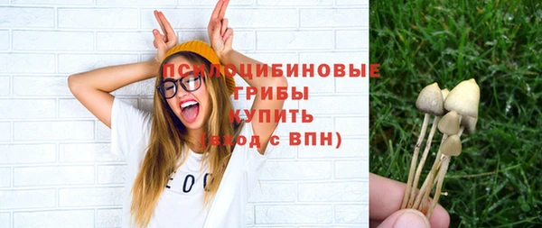 дмт Беломорск