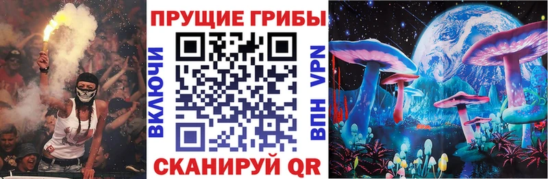 купить наркотики сайты  сайты даркнета клад  Галлюциногенные грибы прущие грибы  Волчанск 